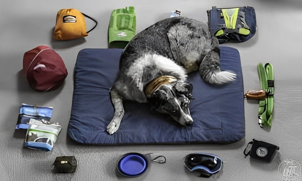 Pet Travel & Outdoor Gear